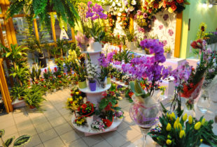 Kwiaciarnia MAJA w Spar – kwiaty, bukiety, wiązanki, strojenie